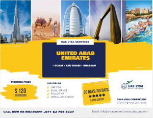 90 days visit visa for UAE